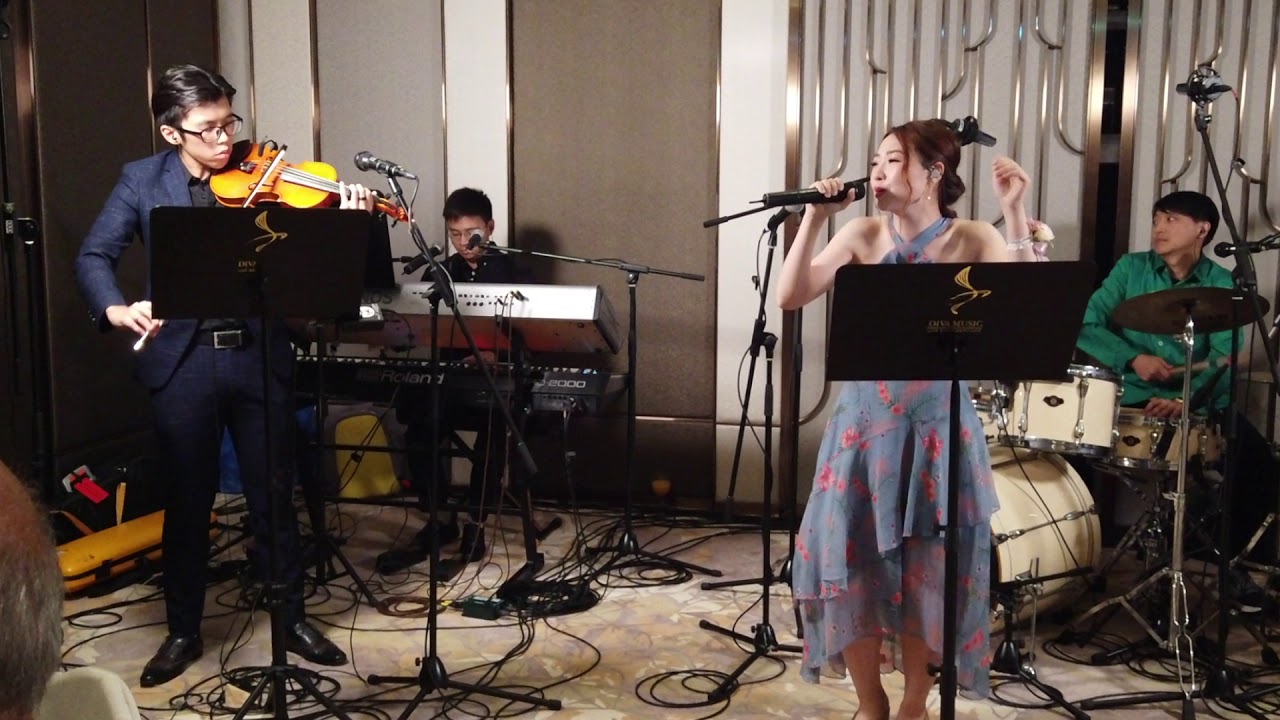 DIVA Music Production- Fly me to the moon  (Violin + full band reference)